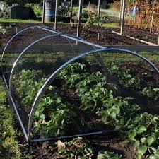 The range also includes trellis' and a rose arch. Portable Domed Garden Cages Gardening Naturally