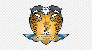Tampines rovers fc singapore premier league young lions hougang united fc geylang international fc, football transparent background png clipart. Tampines Rovers Fc Png Images Pngwing