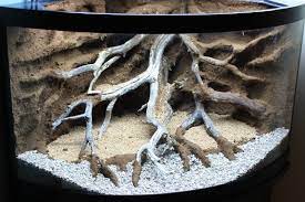 54gal Bowfront Build Dendroboard Reptile Terrarium Aquarium Backgrounds Reptile Room