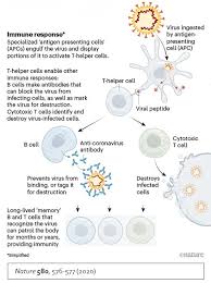 The behavioral health division oversees programs and grants for communities to provide outpatient and regional mental health and substance use treatment services and supports, including court supervised treatment. Coronavirus Calvert County Health Department