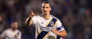 Image result for zlatan