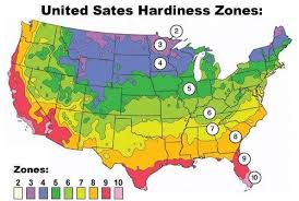 Guide For Landscape Pictures Of Landscaping Zone Chart