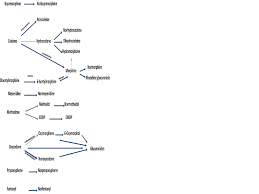 Opiate Metabolism Chart Occupational Medicine Forum