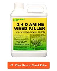 13 Best Weed Killers For Lawns In 2019 Reviewed Rated