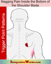 Pain under left shoulder blade. Nagging Pain Inside The Bottom Of The Shoulder Blade Integrative Works