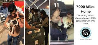 Smaller paws & pom rescue md. Operation Paws For Homes All Breed Dog And Cat Rescue In Virgina Maryland Washington Dc And South Central Pa