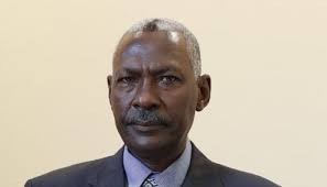Delays in graduation, unification of forces affecting peace  implementation'-Sudanese defense minister
