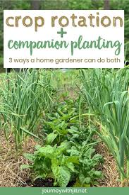 Crop rotation is the practice of growing different fruits and vegetables in a different patch of soil each season. Crop Rotation For Home Vegetable Gardeners The Beginner S Garden
