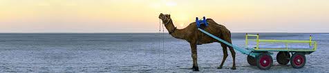 Sorry ,this product is not sell anymore. Gujarat Tour Packages For Memorable Holidays With Updated Price And Reviews