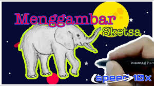 Sketsa gambar hewan gajah berikut ini tergolong mudah dan simpel sekali cocok untuk media cara menggambar gajah menggunakan pensil pun tergolong mudah, sebab anak anda dapat menirukan. Menggambar Sketsa Hewan Gajah Youtube