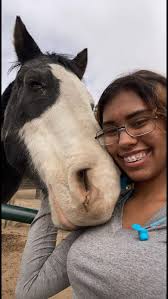 Ranch hand seeking work with housing provided