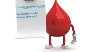 Nuchtern Zum Arzt Was Heisst Das Onmeda De