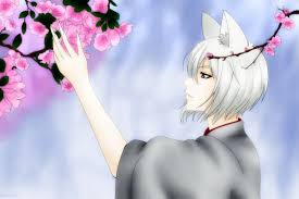 Kamisama Ciuman Tomoe Kamisama 1600x1067 Wallpaper Teahub Io New and best 97,000 of desktop wallpapers, hd backgrounds for pc & mac, laptop, tablet, mobile phone. kamisama ciuman tomoe kamisama