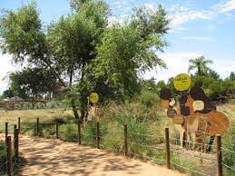 Pin By Shivers Me Timbers On Interpretive Signs Zoo Theme Park Animals