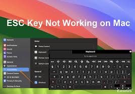 Esc Key Not Working Mac [5 Methods To Fix Escape Key Issues]