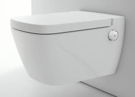 Ohne Pipapo Wc Mit Integrierter Bidet Funktion Als Alternative Zu Ublichen Dusch Wcs
