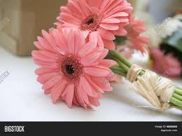 Maybe you would like to learn more about one of these? Pink Daisy Bouquet Daisy Bouquet Gerbera Daisy Bouquet Wedding Flowers
