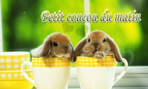 Résultat de recherche d'images pour "un petit coucou"