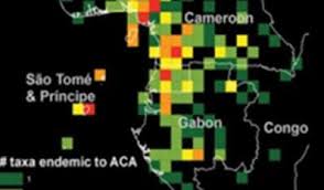 Image result for Summerhayesia