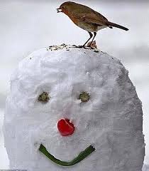 Snowman And Bird Winter Christmas Winter Fun Winter Wonder