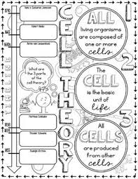 Cell Theory Science Doodle Notes Interactive Notebook Mini Anchor Chart Science Doodles Cell Theory Doodle Notes Science