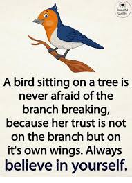A pigeon sat on a branch reflecting on existence (swedish: Beautiful Quotes A Bird Sitting On A Tree Is Never Afraid Of The Branch Breaking Because Her Trust Is Not On The Branch But On It S Own Wings Always Believe In Yourself