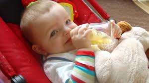 Sebas (9) is z'n hartsvriend 'Lief Hondje' kwijt: "Hij valt huilend in  slaap" [video]