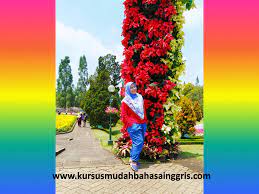 We did not find results for: 100 Nama Bunga Dalam Bahasa Inggris Dan Bahasa Indonesia Belajar Bahasa Inggris Online Gratis