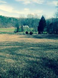 William Marshall Mullins Jr. (1723-1790)