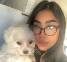 Sue Britton Bursary 2025 Award