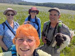 Holly trees flourishing with rich red berries.River crossing & scrambling  to get above Cromaglan Cascade this afternoon.