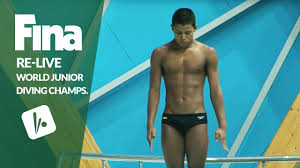 Someone who has a job at a low level within an organization: Re Live Day 4 Final Fina World Junior Diving Championships 2016 Kazan Rus Youtube