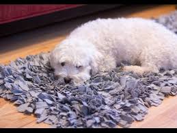 We did not find results for: Diy T Shirt Jersey Shag Rug Youtube