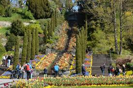 Maybe you would like to learn more about one of these? La Carte Bodensee Erlebniskarte