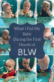 Baby Led Weaning Or Blw Is A Little Intimidating At First This Is What I Fed My Six Month Old Durin In 2020 Baby Weaning Baby Led Weaning Baby Led Weaning