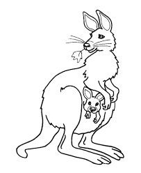 More specifically, babies are born relatively underdeveloped and live in their mama's pouch until they develop enough to climb out and safely explore. Kangaroo Pictures To Color Coloring Home