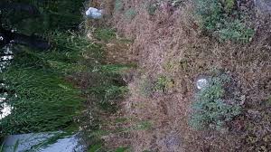 Ich freue mich auf ihren anruf. Garten Total Vertrocknet Nach Urlaub Was Tun Trockenheit Gartengestaltung