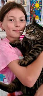 GONE NOW TO ROXIES ANIMAL RESCUE Due to recent loss of cat 💔 got boxes of  Felix Cat food, biscuits, treats and cat litter. Would prefer to go to cat  rescue as