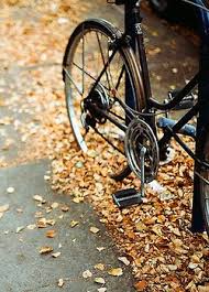 Anma S World Herbst Herbst Bilder Jahreszeiten