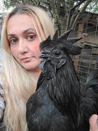 An hour of patience and determination created this 🐶