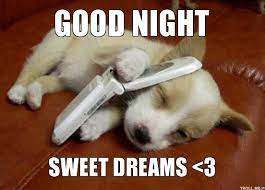 Cute Good Night Meme Good Night Meme Funny Good Night Images Good Night Funny