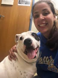 Adoptable dog Lya at Valencia County shelter