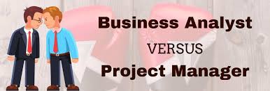 Job Analysis Business Analysts And Project Managers