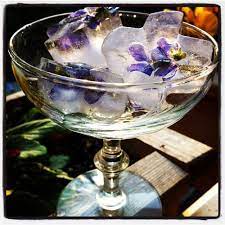 We did not find results for: Flower Ice Cubes Activekidsclub