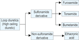 Image result for Loop Diuretic
