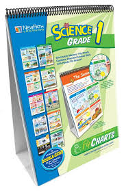 Science Grade 1 Curriculum Mastery Flip Chart Set 045955