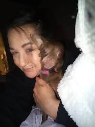 This is Rex. I just got Rex 2 weeks ago. Last night he ran out of the gate,  and booked off, from 129 Hillside Rd Kingstown, just before you go over the