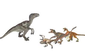 Maybe you would like to learn more about one of these? Would A Movie Velociraptor Win Or Lose Against 3 Real Raptors A You Decide I Guess Dinosaurs Forum