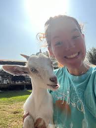 FSU student available for pet care and dog walking services