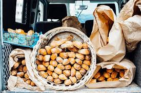 Serre Des Pres Des Fruits Et Legumes Solidaires A Lesquin